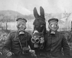 Soldiers and mule wearing gas masks